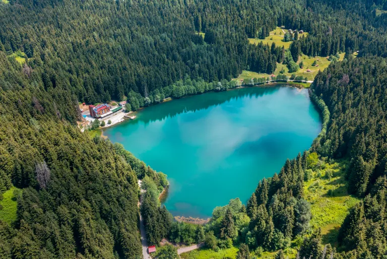 artvin